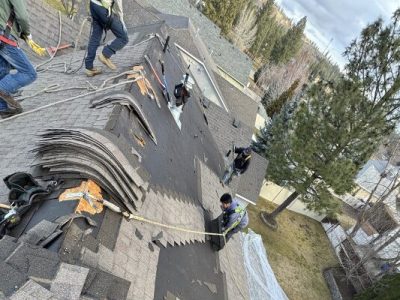 Shingle Roof Replacement Services